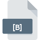 [B] file icon